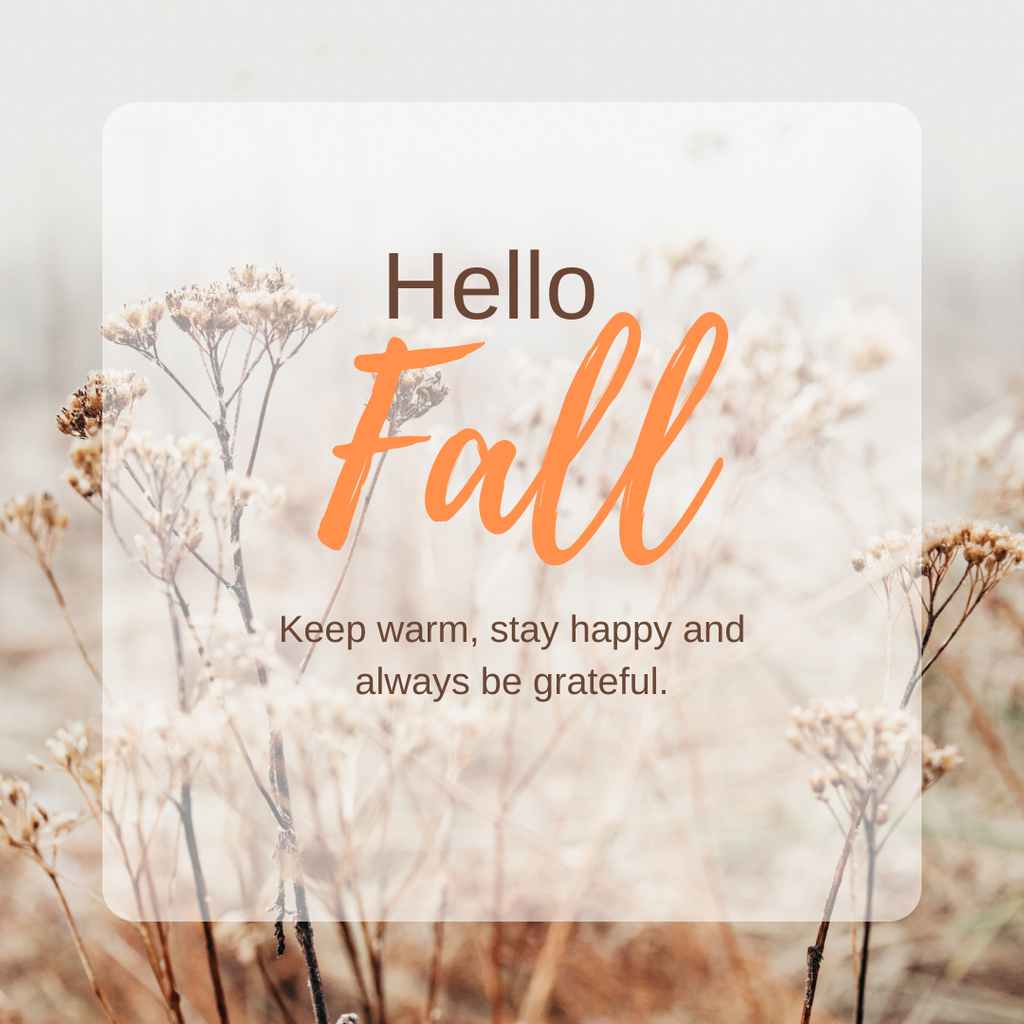 Embracing the Beauty of Fall: A Season of Change and Reflection
